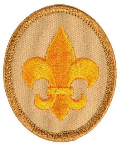 2016 Boy Scout Requirements: Frequently Asked Questions Page 5 Q. SCOUT SPIRIT: Should a board of review ask the Scout about this duty to God requirement? A. The board of review may ask just as with any other requirement- - but is not required to do so.