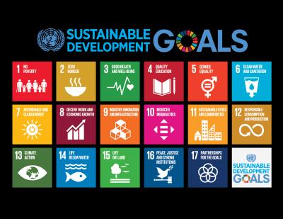 Technology, Innovation and SDGs The Development Agenda 2030 and its 17 Sustainable Development Goals (SDGs)