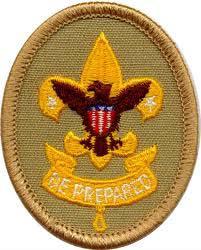 Qualifications Boy Scouts 12 years of age by