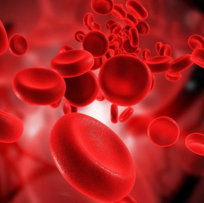 Nearly 17 million blood components are transfused each year in