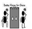 Matters Arising No matters arising. 4. Feedback from Dudley Voices for Choice Feedback from Rachael.