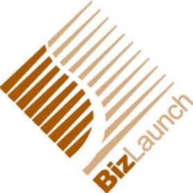 BIZLAUNCH FY17 OUTCOMES As of February 15, assisted 1,826 business people including: 1,307 workshop participants; 519