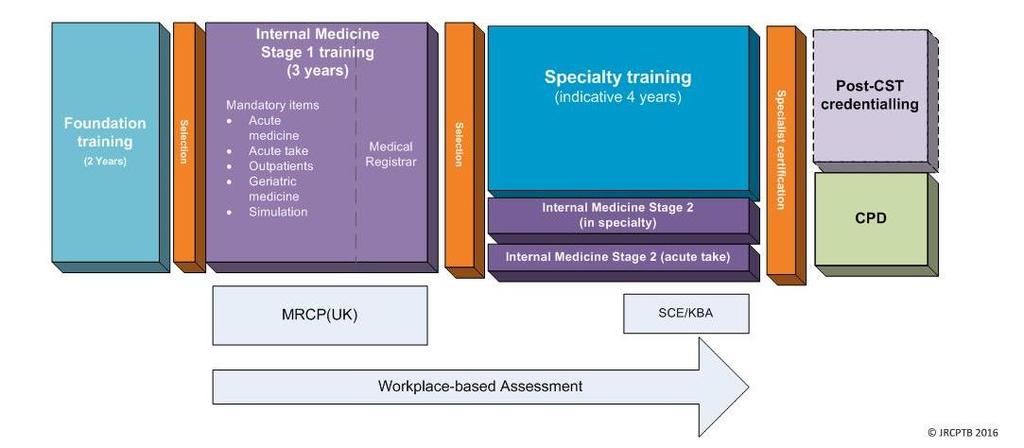 Proposed outline model for physician training (starting 2018)