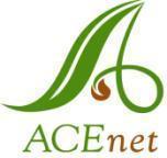 angiec@acenetworks.