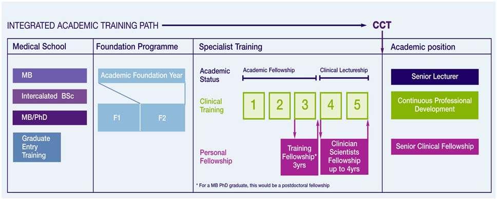 NIHR Integrated Academic Training Path for Doctors and Dentists Appendix C Reproduced from Report of the Academic Careers Committee of Modernising Medical Careers and the UK Clinical Research
