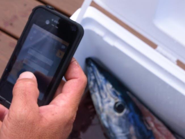 ELECTRONIC MONITORING & REPORTING GRANT PROGRAM Developed in 2015 to catalyze the implementation of electronic technologies for catch monitoring in U.S. fisheries.