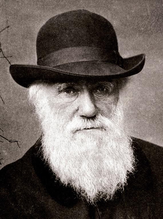 Darwin Day Sunday, February 12th 1:00pm - 6:00pm FREE ADMISSION Come learn about the theory of evolution