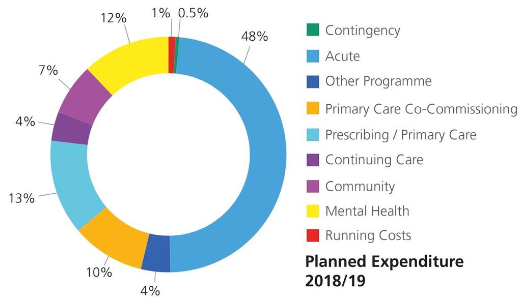 Overview of Expenditure by Programme Area The acute commissioning portfolio remains our biggest area of spend accounting for nearly half the CCGs annual spend.