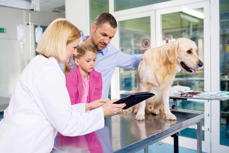 A clear treatment recommendation from the veterinary health care professional, supported by the health care team, is essential for improving compliance.
