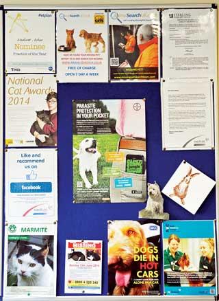 Literature and information boards displayed in practices can influence effective communication and compliance.