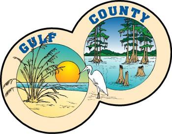 GULF COUNTY Multiyear Implementation Plan Gulf County July 21 st, 2016 SUBMITTED BY: Dewberry 25 West Cedar Street, Suite 110
