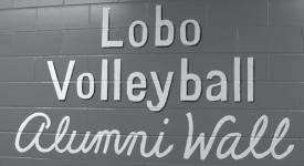 The popularity of Lobo League continues to grow every year. For more information contact Lobo League Director Dave Buchholz by phone at 277-2472 by e-mail at vbleague@unm.edu.
