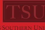 Maintaining the Integrity of Our Logo It is of utmost importance that the integrity of the TSU brand is maintained.