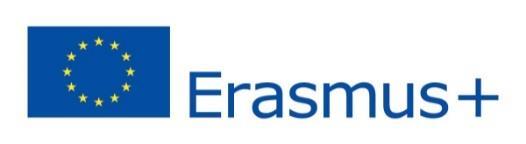 Erasmus+ Traineeship Call for 350 Mobility Grants for 3- month Traineeships as part of the Erasmus+ for