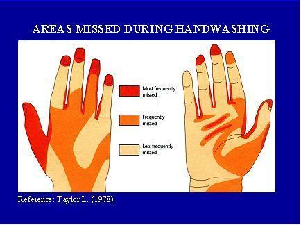8.1.3 Drying It is important that hands are dried well as wet surfaces transfer microorganisms more effectively than