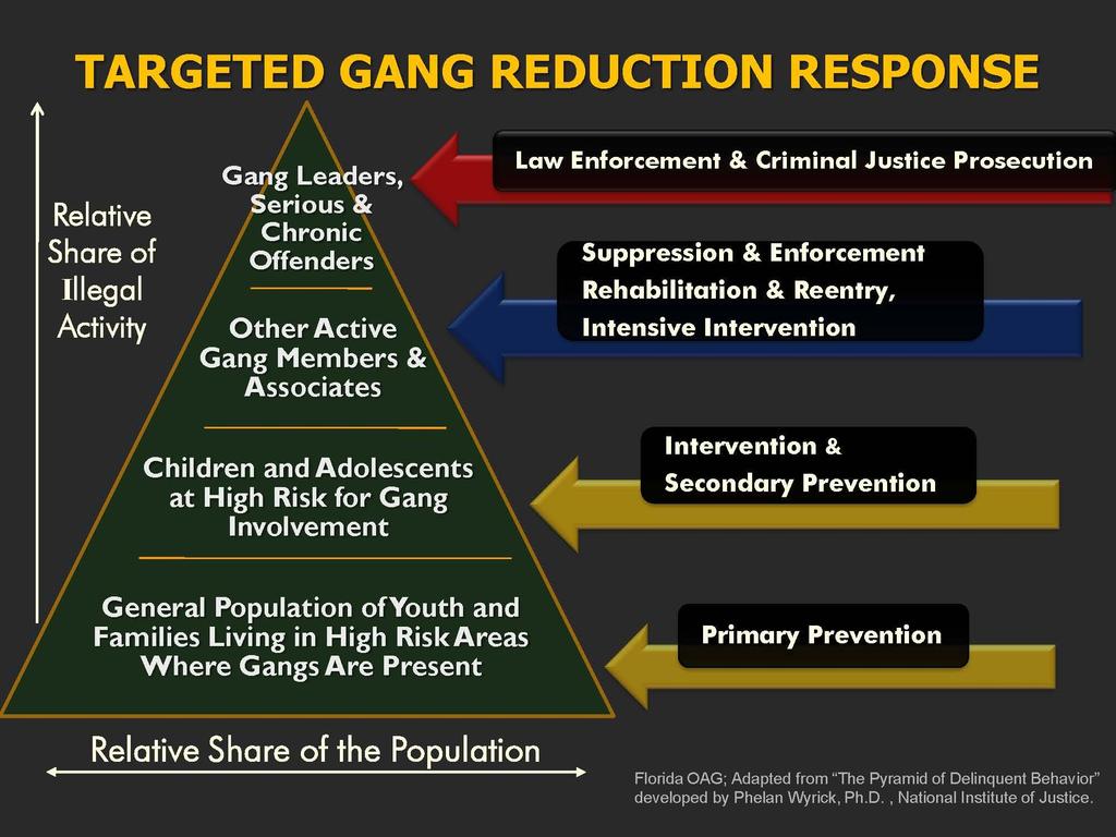 Florida Gang Reduction Strategy 2011 Figure 1: