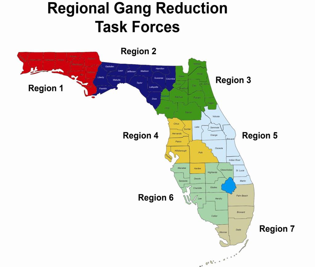 2011 Florida Gang Reduction Strategy Annual Report