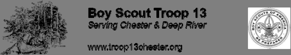 EAGLE SCOUT LEADERSHIP SERVICE PROJECT CHECKLIST I. STARTING YOUR EAGLE PROJECT As a Life Scout, scouting values and concepts should be an integral part of your daily life.