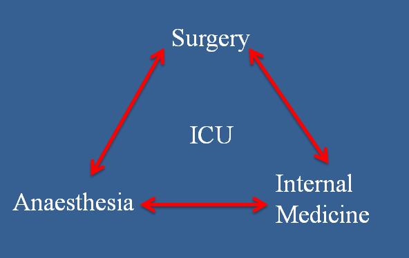 Hospitals without ICUs Austin Repat Campus 8 ORS, no HDU no ICU Perioperative Medicine Collaborative -Moderate risk orthopaedic joint patients -Evolving