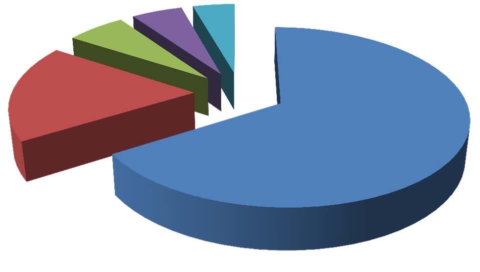 EVC Participants by Category (Percentages) 5,3% 4,4% 6,1% 18,1% Physicians Medical Industry Nurse Students Allied Health Professional 66,1% EVC Participants by Category (Absolute numbers) 96 79 111