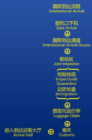Disembarkation/Embarkation Card Baggage