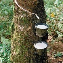 Natural Rubber Exported