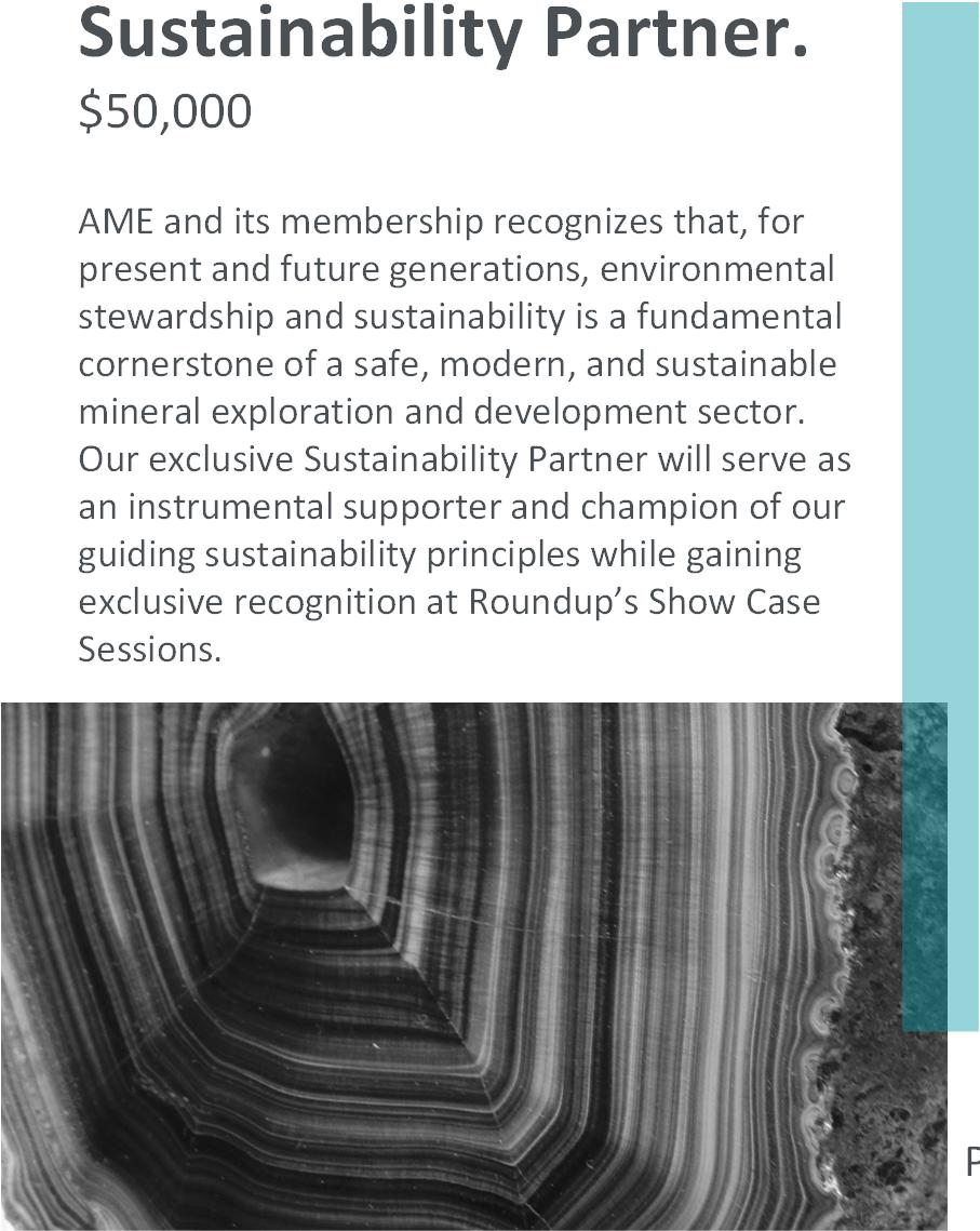 Sustainability Partner.