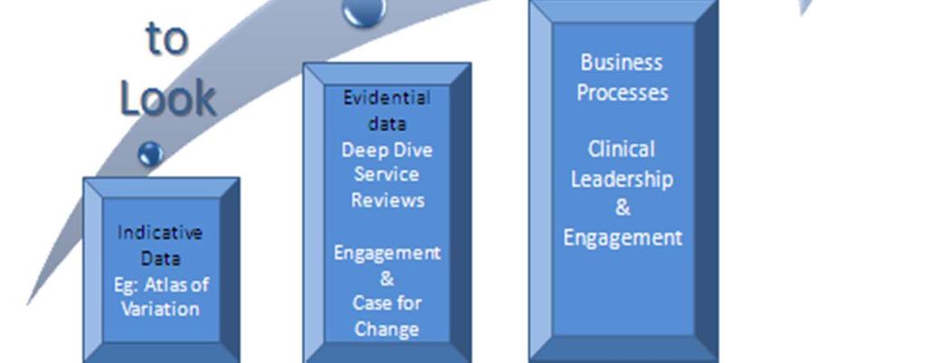 Five Key Ingredients: 1. Clinical Leadership 2.
