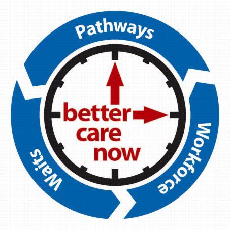 COMMIT STEERING GROUP BCN Flow Steering Group (every 2 wks) Better Care Now (BCN) Project Board (every 2 wks) BCN Alternative to Hospital / Bridge to Home Steering Group (every 2 wks) IV Therapy