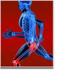 We, your Orthopedic Team, have enjoyed our time with you, thank