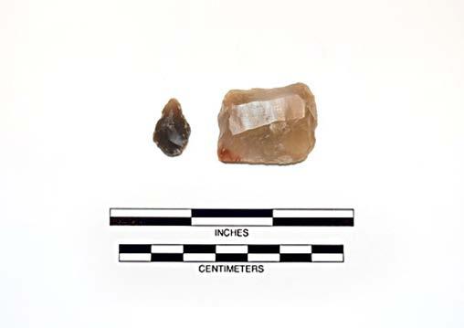 Artifacts Date the Site