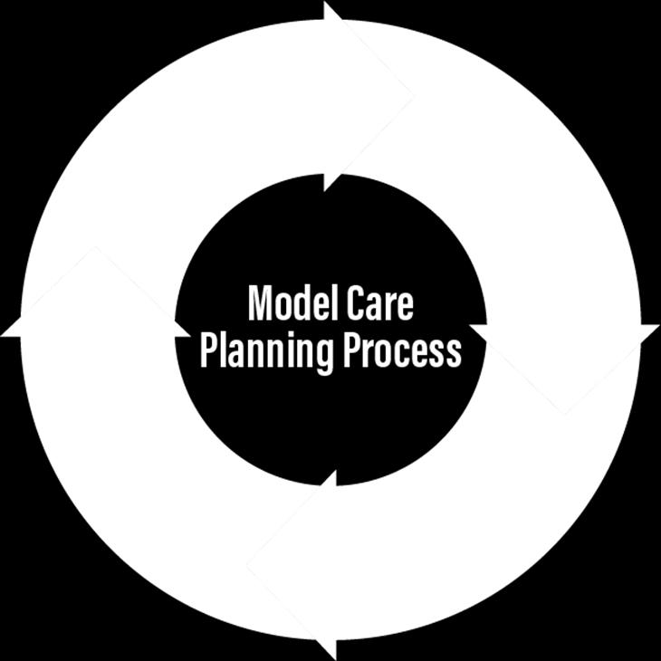 Care Planning The process by which healthcare professionals and patients discuss, agree upon, and review an action plan to achieve the goals or behavior change of most relevance and concern to the