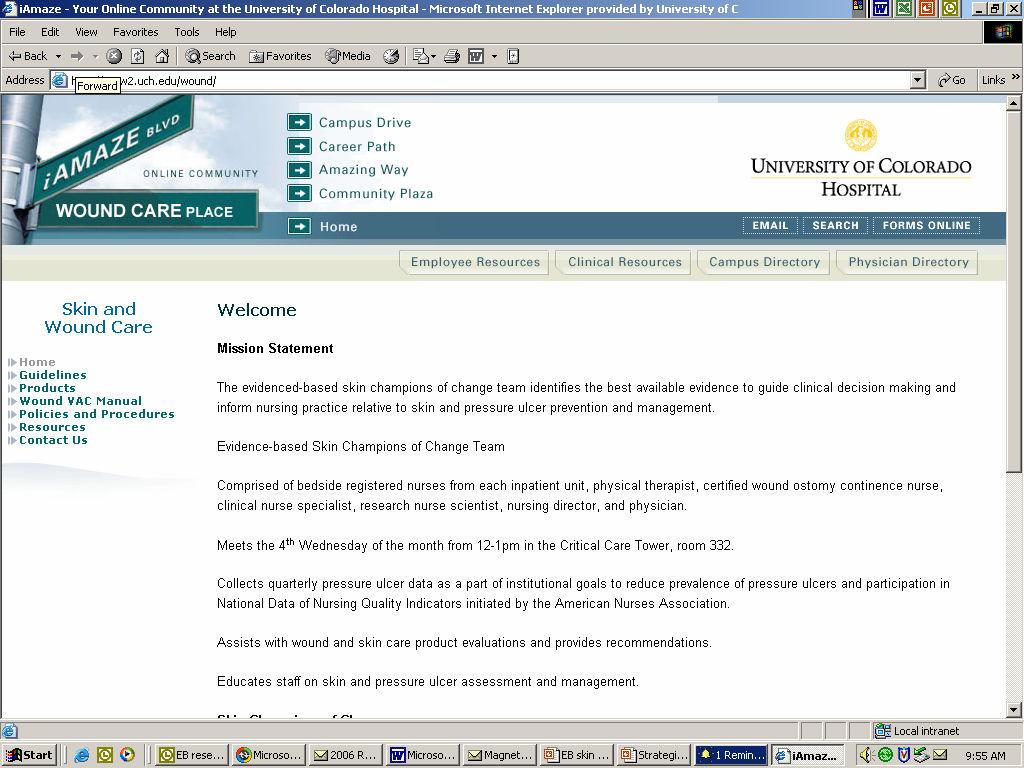 UCH Skin and Wound Care Website Sample of Product Guidelines Indications for dressing: Partial thickness or Stage II