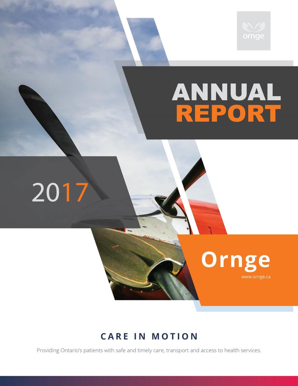 2017 Annual Report Care in