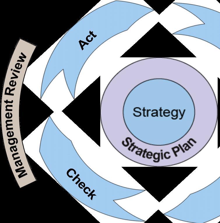 Cleanup Strategy Management Cleanup Strategy Management was