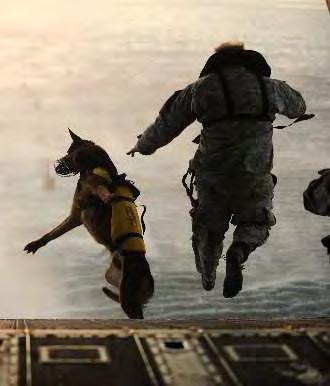 Excess Property Programs - Military Working Dog (MWD) Program Allows law enforcement agencies (LEA), former handlers, and qualified civilians to adopt a MWD that is declared excess to the needs of