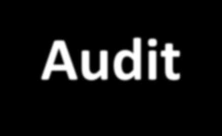 Audit Developments Stricter audit standards since FY 2007 More internal control findings!
