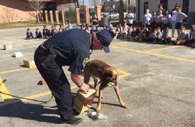 Honor Roll Roundup K-9