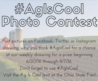 4-H Photography Contest Here s a chance to show off your photography skills. All pictures must be taken between Fair 2015 and August 1, 2016.