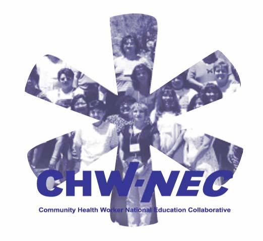 College-supported CHW education takes many forms