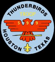 Troop 599 Boy Scouts of America The Thunderbirds Agreement to Conduct and Discipline Policy Summary of Conduct Rules: 1.