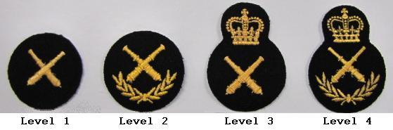 Annex B to Chapter 8 ARMY OCCUPATIONAL BADGES AND THEIR ARTILLERY QUALIFICATIONS 1. All three CF elements have their own style of occupation badges.