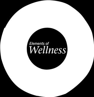 Wellness Circle: The Wellness Circle contains the group of exhibitors which everyone is to visit and meet with for a defined amount of time, gather information, then move to the next Exhibitor in