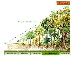 Sustainability Internships Infusing Curricula with Ecological Principles ~ Dynamism ~