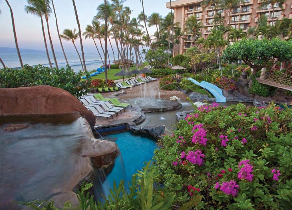 19th Annual Primary Care in Paradise Space is limited, so register early!