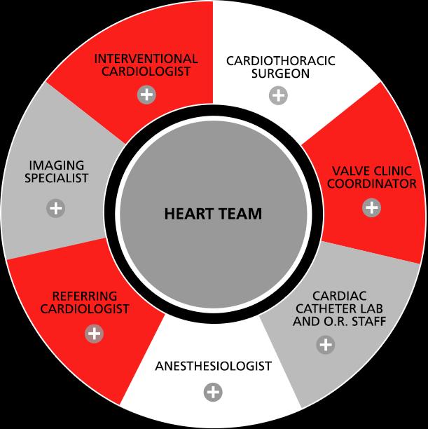 The Heart Team Concept
