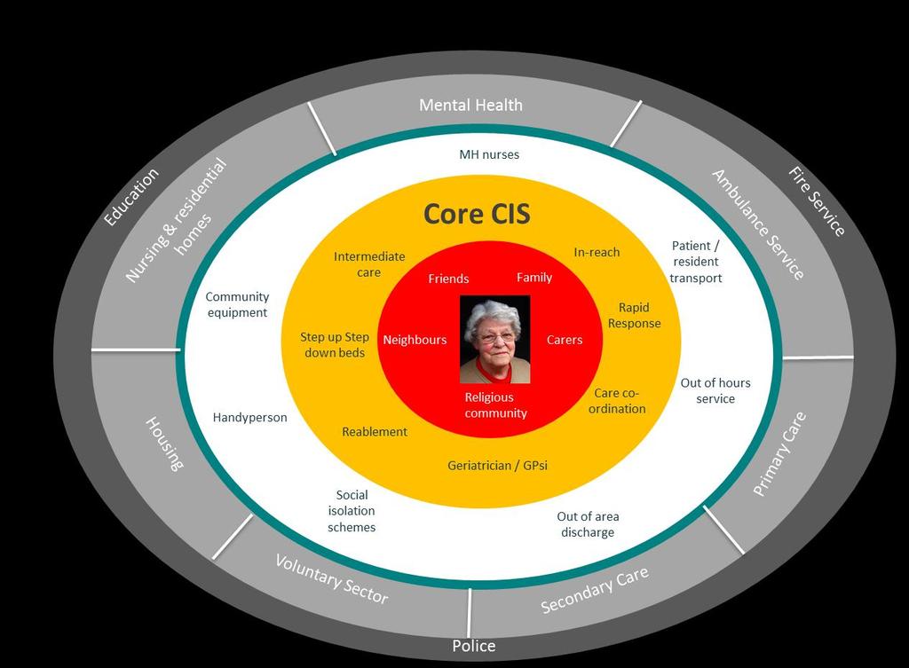 The long-term vision for the service (as developed to date) includes the alignment of the 4 core CIS service components and the potential inclusion of local additionality.