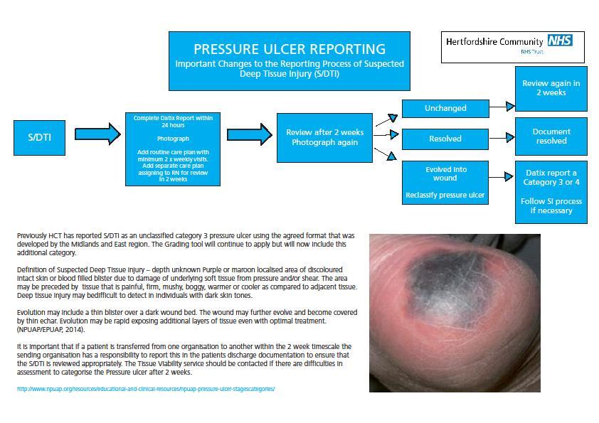 APPENDIX 8: Deep Tissue Injury Flow Chart Pressure Ulcer