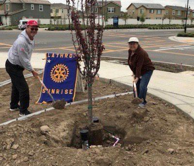 Beautifying Lathrop on Earth Day CLUB ACTIVITIES Clearing out old plant growth and yard debris and planting new plants and shrubbery are just a few tasks that many Lathrop citizens volunteered for on