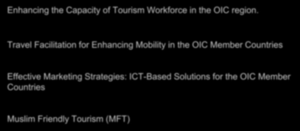 Sectoral Themes Enhancing the Capacity of Tourism Workforce in the OIC region.